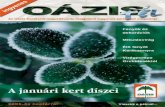 Oázis Magazin 2004/2 Tél