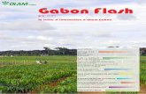 Gabon Flash N°3 Juin 2013