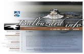 Balbuzard Info