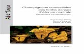 Eyi Ndong H et al 2011. Champignons comestibles des forets denses d'Afrique centrale
