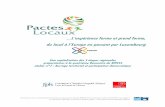 Capitalisation des 5 etapes regionales de la preparation LUX09 des Pactes Locaux
