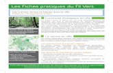 Fiche Pratique // Les Cheminements Verts // Elu-e-s EELV Lyon