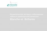 Презентация франшизы Blanche et Brillante