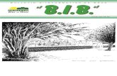 BIB Janvier 2011