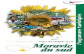 Programmes Touristiques Moravie du Sud