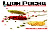 Lyon Poche "Colors of lyon"