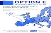 Option E - ESCP Europe (2012-2013)(FR)