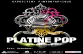 Exposition Photographique PLATINE POP