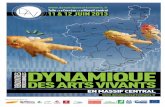 Programme des Dynamique des arts Vivants en Massif central
