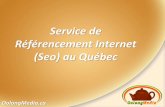 Service de référencement Internet (Seo)