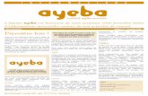 ayeba - lettre novembre 2009