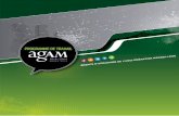 Programme de travail Agam 2013