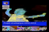 CG29 Bilan mi-parcours projet stratégique 2010-2014