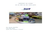 Rapport de stage FEPP version officiel