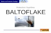Baltoflake_Présentation_FR - AV