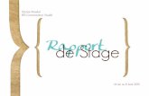 Rapport de Stage 2010
