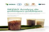 NEPAD Policy Study (French)
