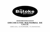 Orchestre National de Lille 17.03.12
