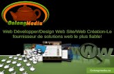 Web Développer/Design Web Site/Web Création-Le fournisseur de solutions web le plus fiable!