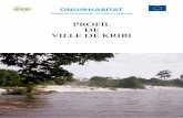 Cameroun: Profil Urbain de Kribi
