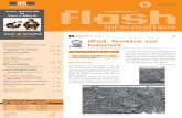 Flash informatique 2010 - no 6