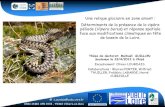 Les communautés d’ectothermes des landes et tourbières du haut bassin de la Loire