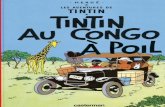 Tintin au Congo (  poil)