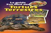 Zb 65f tortoise bk