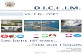Document d'Information Communal sur les Risques Majeurs - Ville du Port