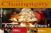Champigny-notre-vile, décembre 2010