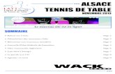 Alsace tennis de table novembre 2013