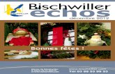 Echos de Bischwiller décembre 2012