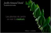Jardin Armand David, Album1