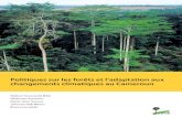 Politiques sur les forêts et l’adaptation aux changements climatiques au Cameroun