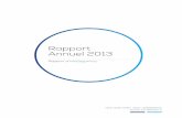 Rapportannuel 2013