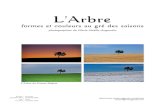 "L'Arbre : formes et couleurs au gré des saisons" - Catalogue de l'exposition