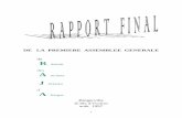 Rapport Final AG de Bengerville