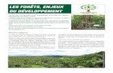 La gestion forestière, enjeu de développement