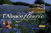 L'Alsace Fleurie - De Villes en Villages