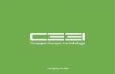 CEEI - Company Profile (FRA)