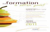 catalogue formation cci loiret 2011