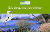 Une place pour les oiseaux des boisements de rivière