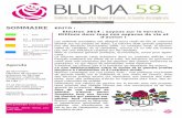 Bluma 59 n6 pour site