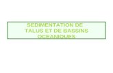 SEDIMENTATION DE TALUS ET DE BASSINS OCEANIQUES