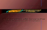Panorama de branche des agences de voyages - Edition 2012