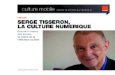 Serge Tisseron, la culture numérique