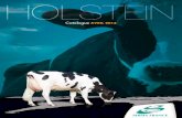 Catalogue Holstein 13.1 FR