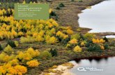Hydro-Québec - Rapport sur le développement durable 2008