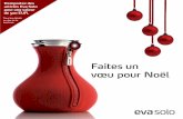 Evasolo brochure FRENCH