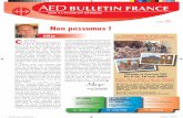 Bulletin AED France janvier 2009